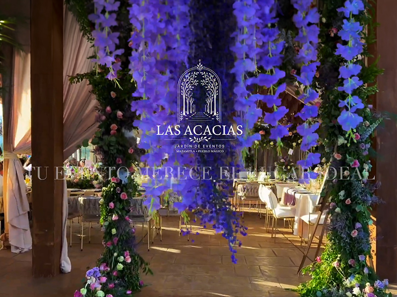 Video background image
